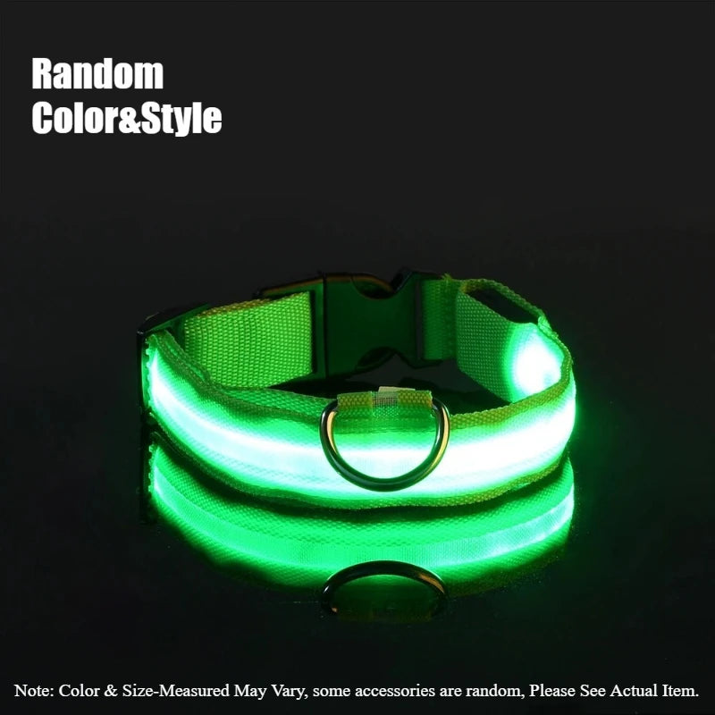 LED Glow Dog Collar & Leash – Night Safety Accessory