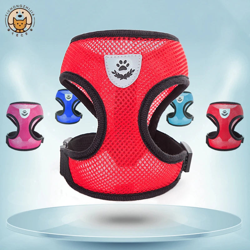 Adjustable Pet Harness with Leash – Comfortable & Secure