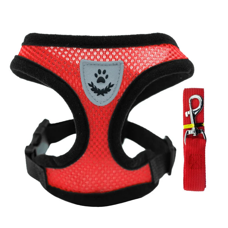 Adjustable Pet Harness with Leash – Comfortable & Secure