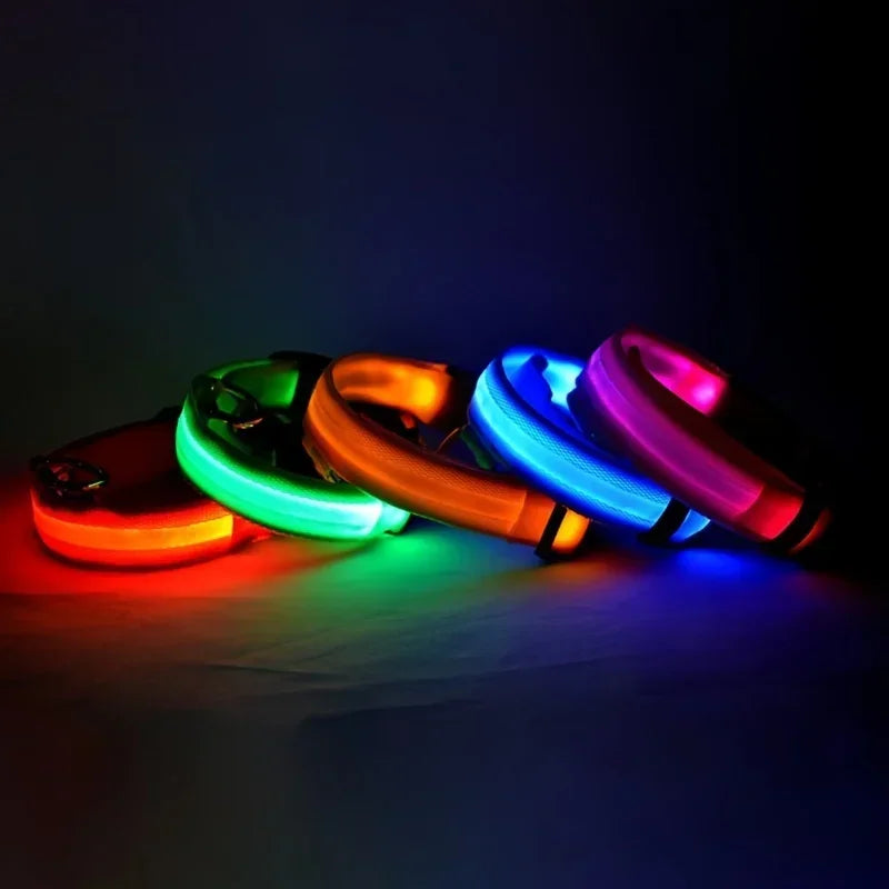 LED Glow Dog Collar & Leash – Night Safety Accessory
