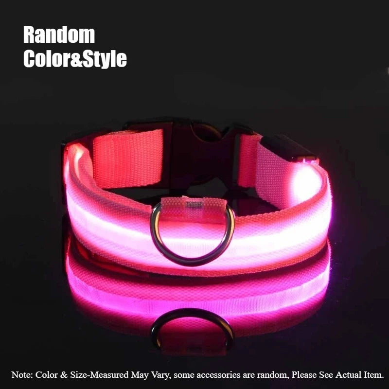 LED Glow Dog Collar & Leash – Night Safety Accessory