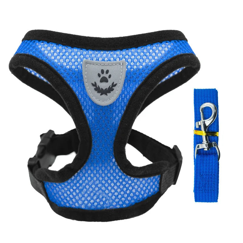 Adjustable Pet Harness with Leash – Comfortable & Secure