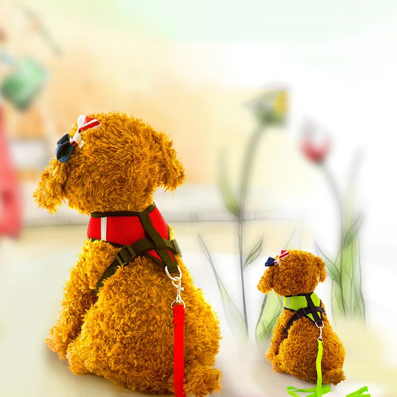 Adjustable Pet Harness with Leash – Comfortable & Secure