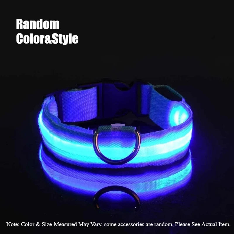 LED Glow Dog Collar & Leash – Night Safety Accessory
