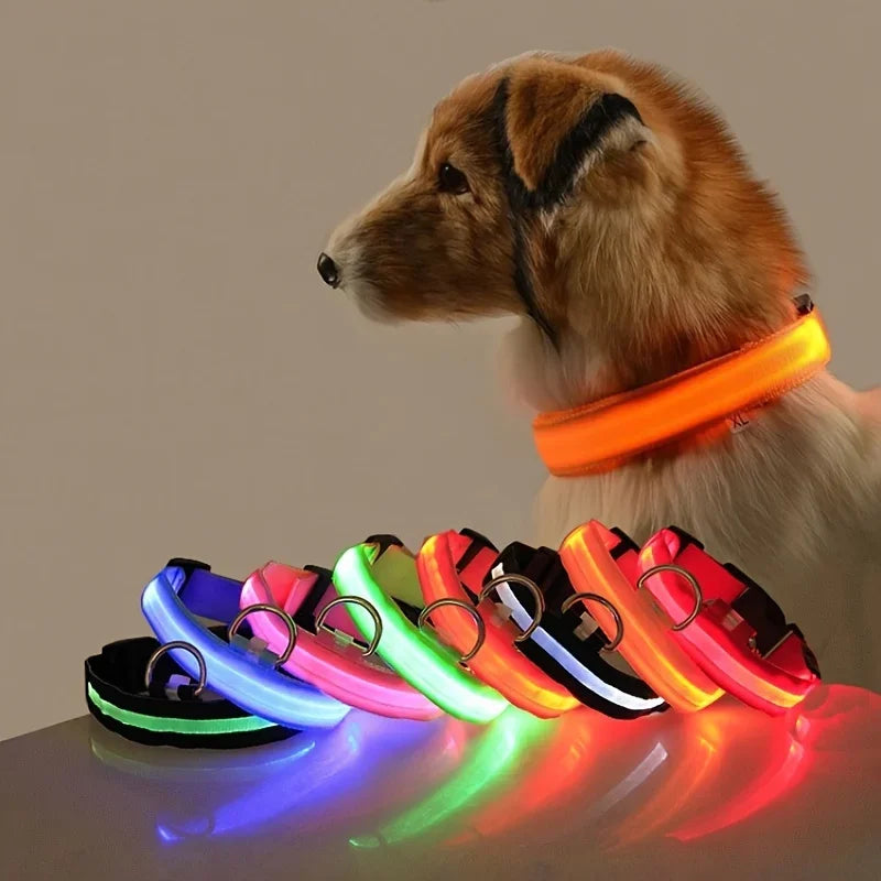 LED Glow Dog Collar & Leash – Night Safety Accessory