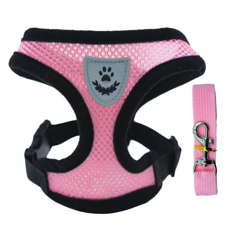 Adjustable Pet Harness with Leash – Comfortable & Secure