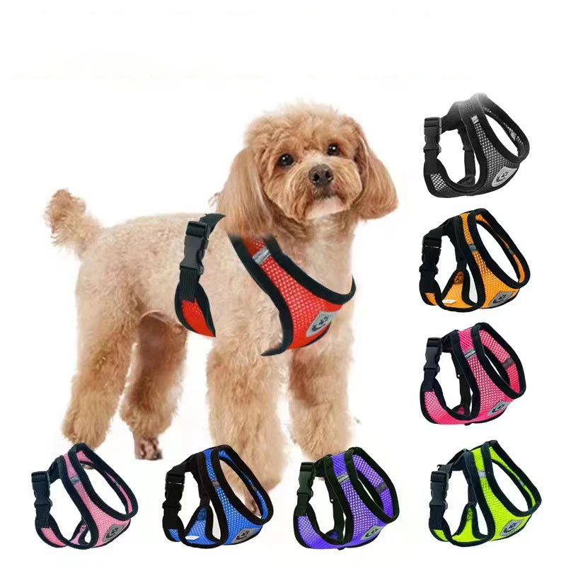 Adjustable Pet Harness with Leash – Comfortable & Secure