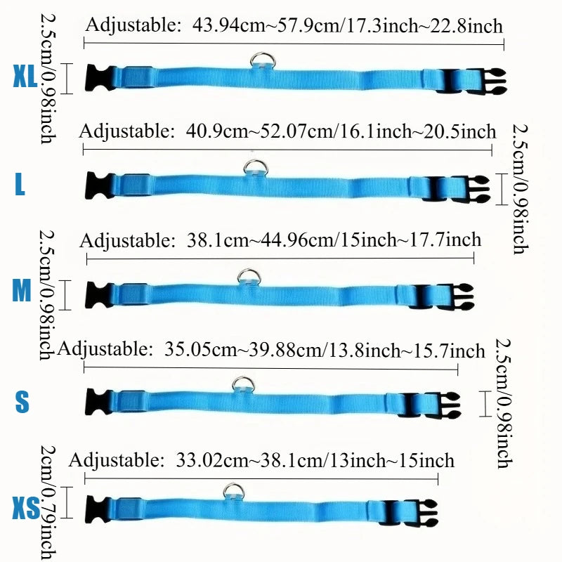 LED Glow Dog Collar & Leash – Night Safety Accessory