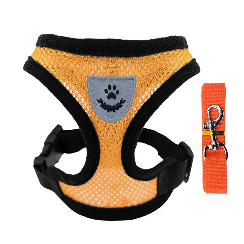Adjustable Pet Harness with Leash – Comfortable & Secure