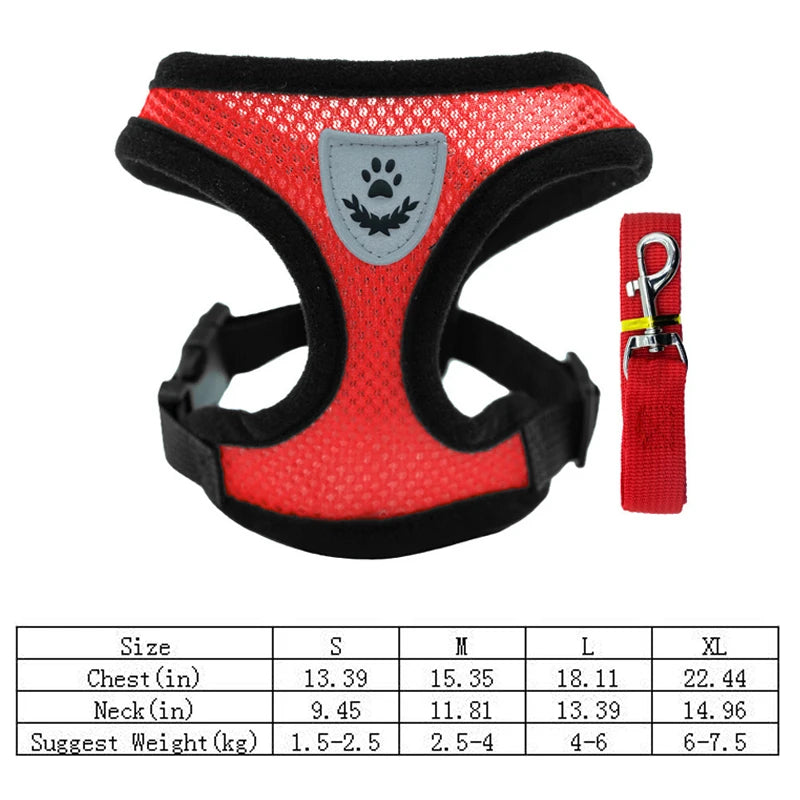 Adjustable Pet Harness with Leash – Comfortable & Secure
