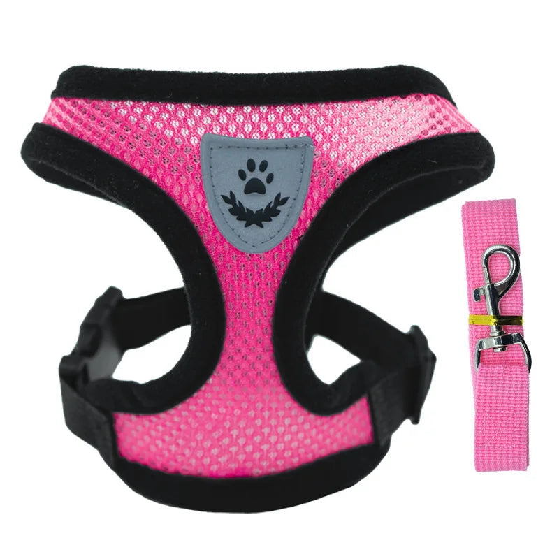 Adjustable Pet Harness with Leash – Comfortable & Secure