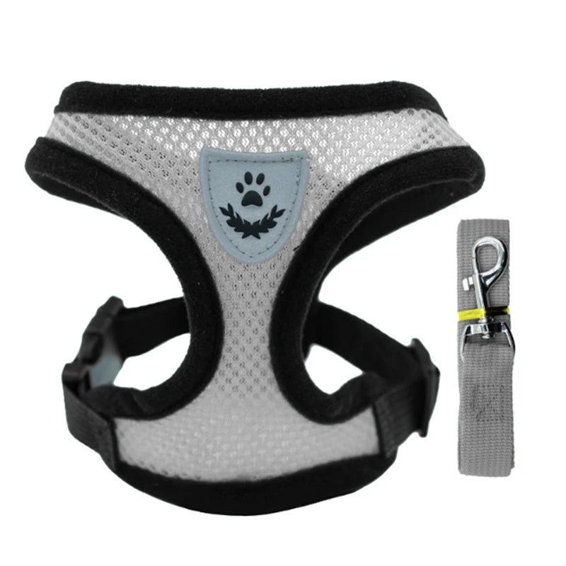 Adjustable Pet Harness with Leash – Comfortable & Secure